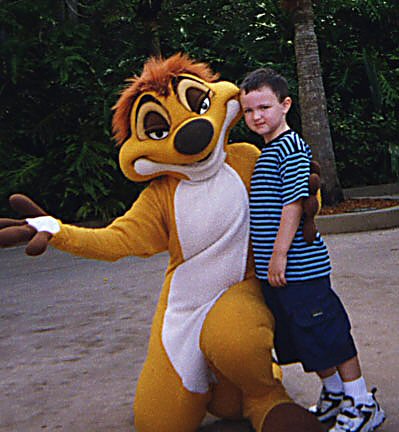 disney timon